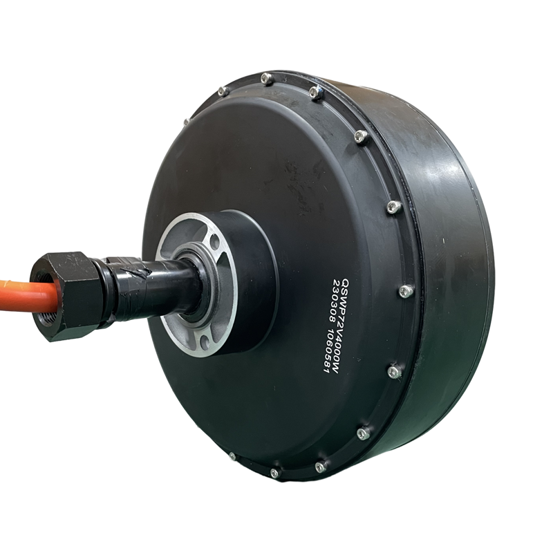 QS Motor 273 Dual 8000W Brushl - Qs Motor 273 8000W Hub Motor 评论和价格