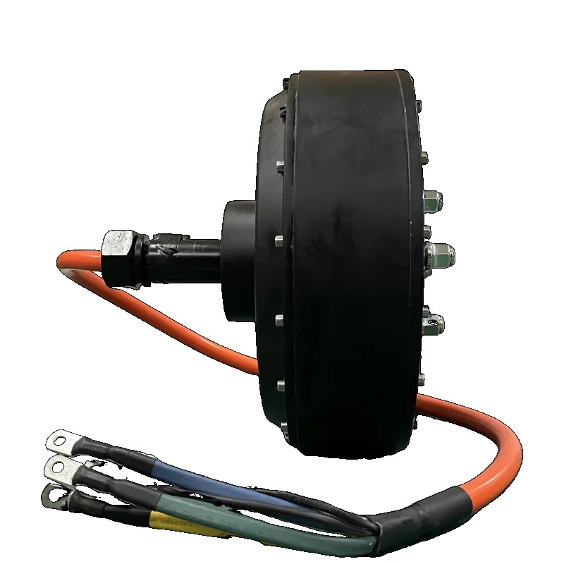 QS 273 8000W 72V 50H V3 Single - Qs Motor 273 8000W Hub Motor 评论和价格
